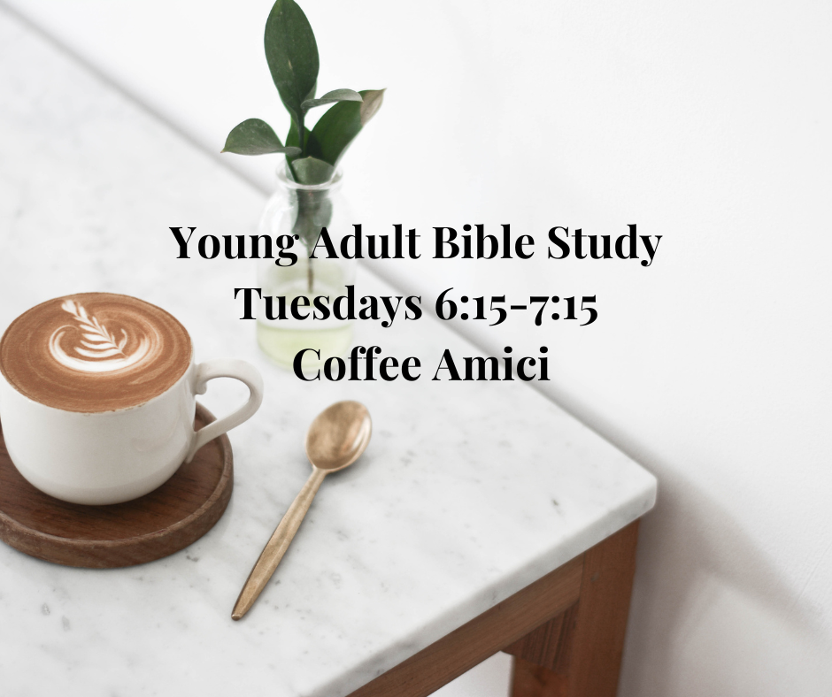 Featured image for Young Adult Bible Study