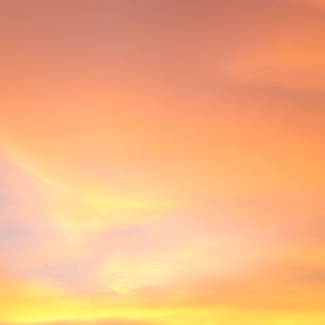 "The Land of the Living"