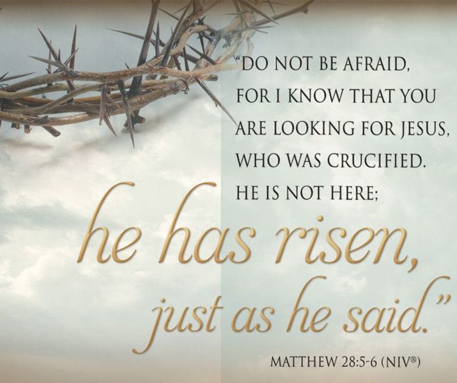 Out of Darkness, Hope Rises